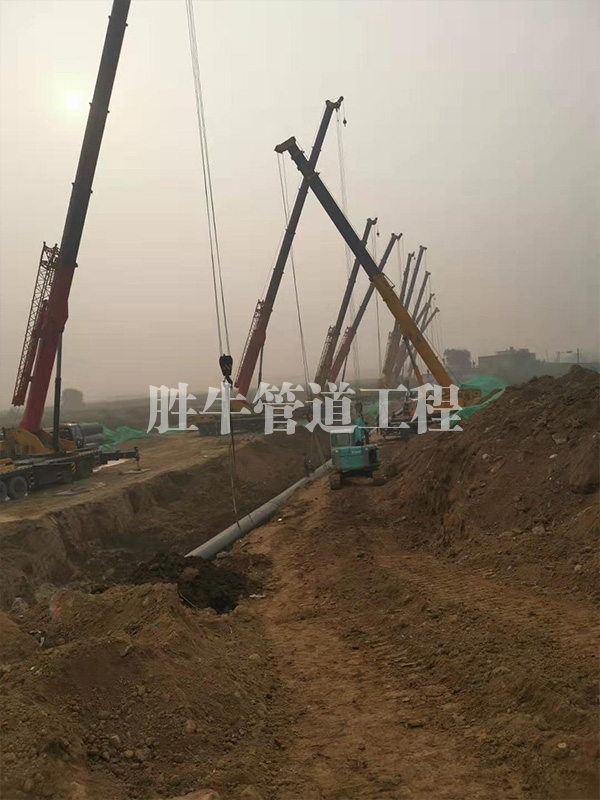 海角社区乱精品