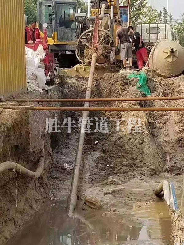 海角免费观看
