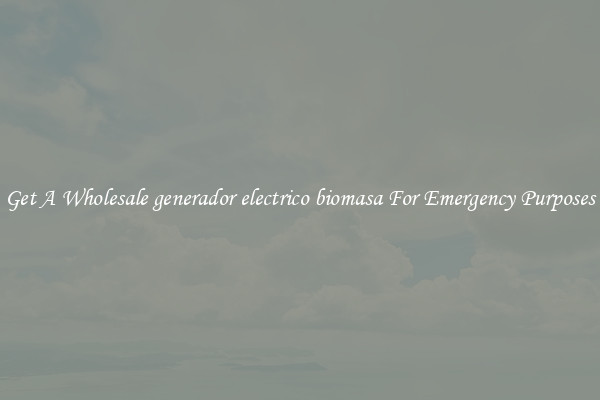 Get A Wholesale generador electrico biomasa For Emergency Purposes