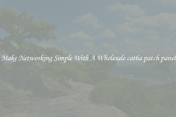 Make Networking Simple With A Wholesale cat6a patch panel
