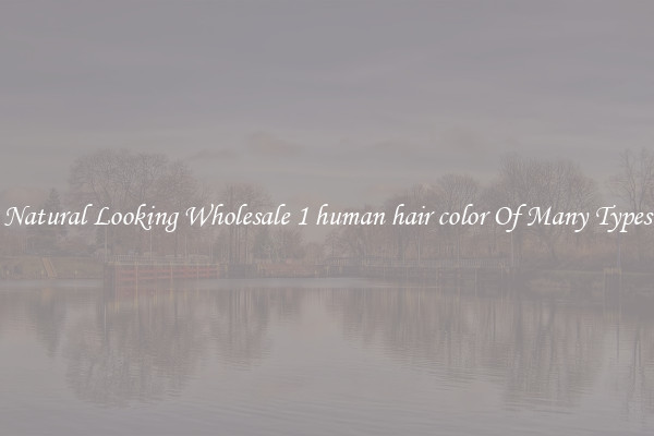 Natural Looking Wholesale 1 human hair color Of Many Types