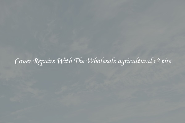  Cover Repairs With The Wholesale agricultural r2 tire 