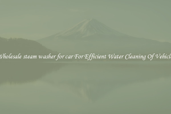 Wholesale steam washer for car For Efficient Water Cleaning Of Vehicles