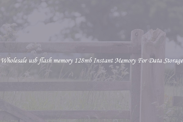 Wholesale usb flash memory 128mb Instant Memory For Data Storage