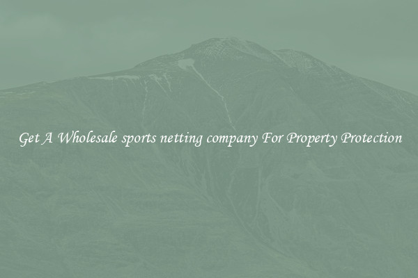 Get A Wholesale sports netting company For Property Protection