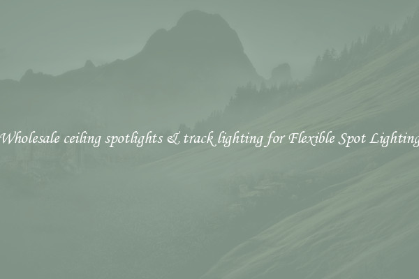 Wholesale ceiling spotlights & track lighting for Flexible Spot Lighting