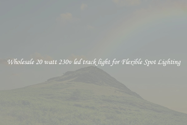 Wholesale 20 watt 230v led track light for Flexible Spot Lighting