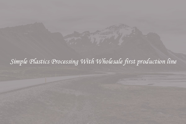Simple Plastics Processing With Wholesale first production line