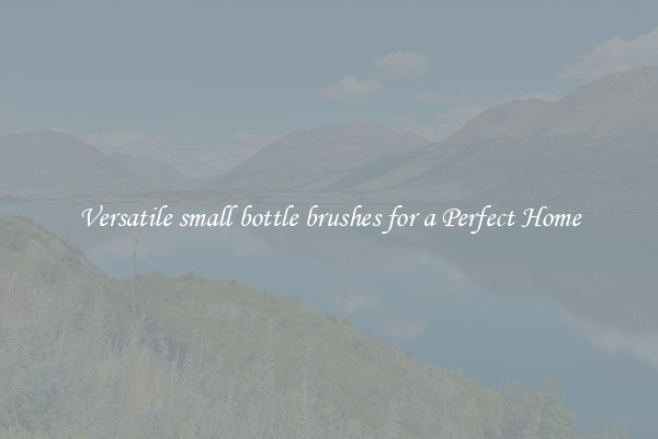 Versatile small bottle brushes for a Perfect Home