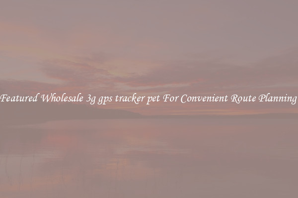 Featured Wholesale 3g gps tracker pet For Convenient Route Planning 
