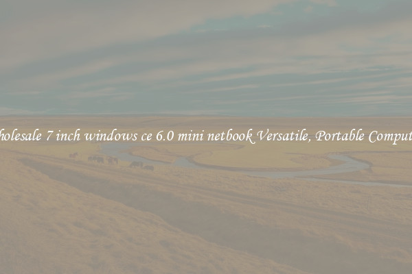 Wholesale 7 inch windows ce 6.0 mini netbook Versatile, Portable Computing