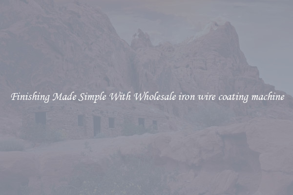 Finishing Made Simple With Wholesale iron wire coating machine