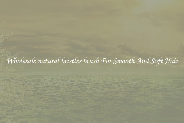 Wholesale natural bristles brush For Smooth And Soft Hair