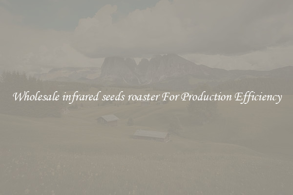Wholesale infrared seeds roaster For Production Efficiency