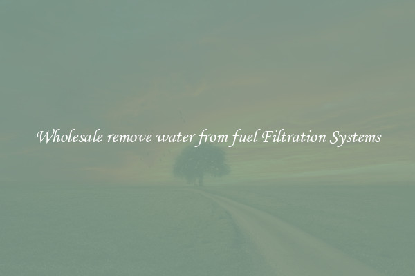 Wholesale remove water from fuel Filtration Systems