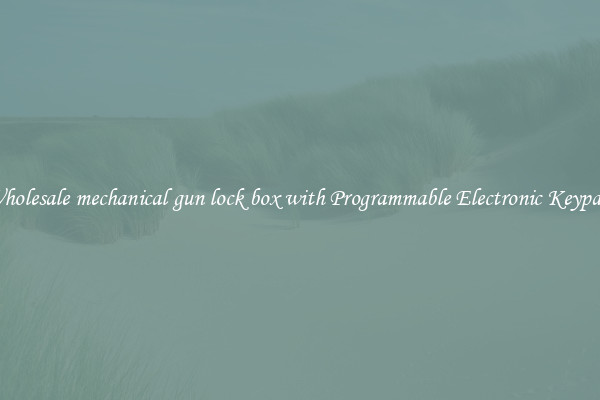 Wholesale mechanical gun lock box with Programmable Electronic Keypad 