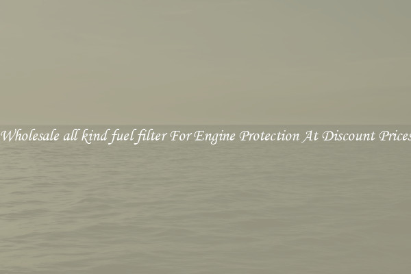 Wholesale all kind fuel filter For Engine Protection At Discount Prices