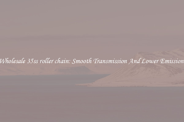 Wholesale 35ss roller chain: Smooth Transmission And Lower Emissions