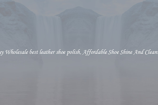 Buy Wholesale best leather shoe polish, Affordable Shoe Shine And Cleaning