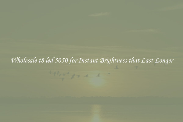 Wholesale t8 led 5050 for Instant Brightness that Last Longer
